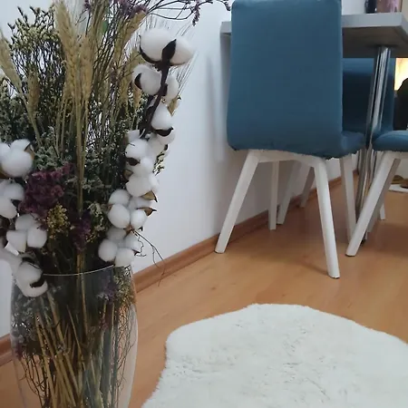 Molinelli Apartamento